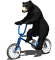 گیف خرس دوچرخه سوار