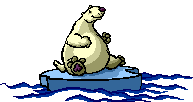 عکس انیمیشن خرس قطبی