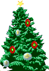 انواع درختان کریسمس