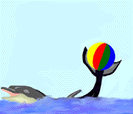 بازی با توپ دلفین در استخر