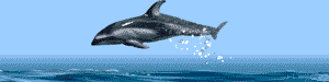 گیف متحرک نهنگ غول پیکر