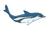 گیف نهنگ عنبر