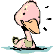 انیمیشن اردک
