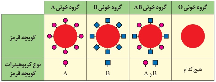مبنای گروه خونی ABO