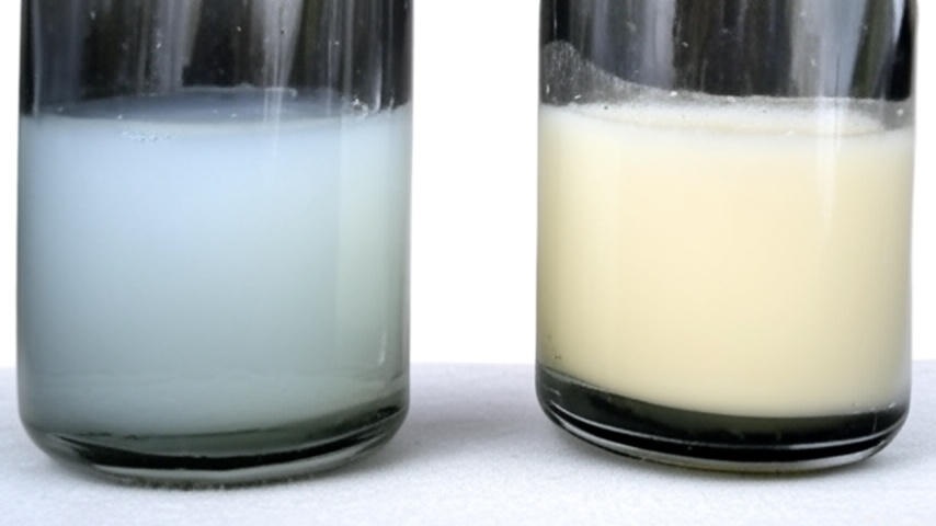 تفاوت شیر پیشین و پسین