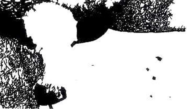 تست هوش تصویری: حیوان مخفی معمای گاو پنهان